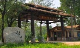黄河稻夫